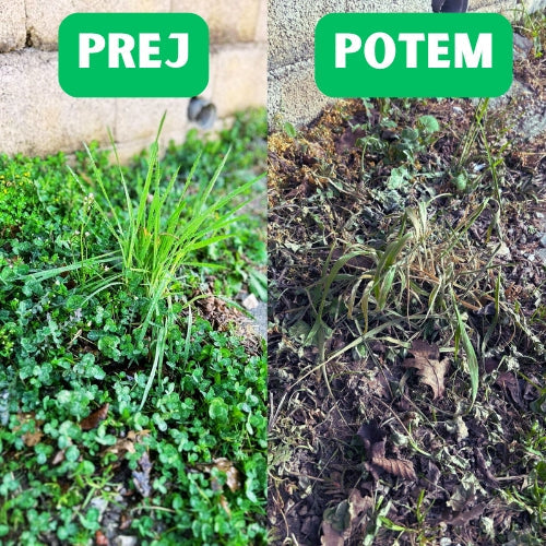odstranjevanje plevela prej-potem